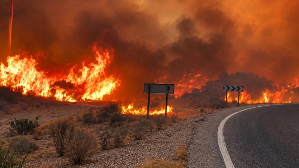 Spain Wildfire Kills 12 people Amid Extreme Heat