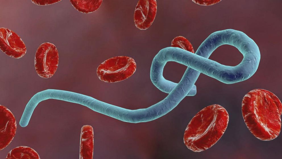 ugandadeclaresendtoebolasudanvirusoutbreak