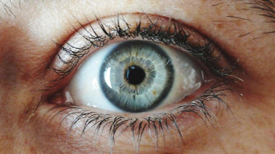 Kuwait engineer divorces wife over eye colour