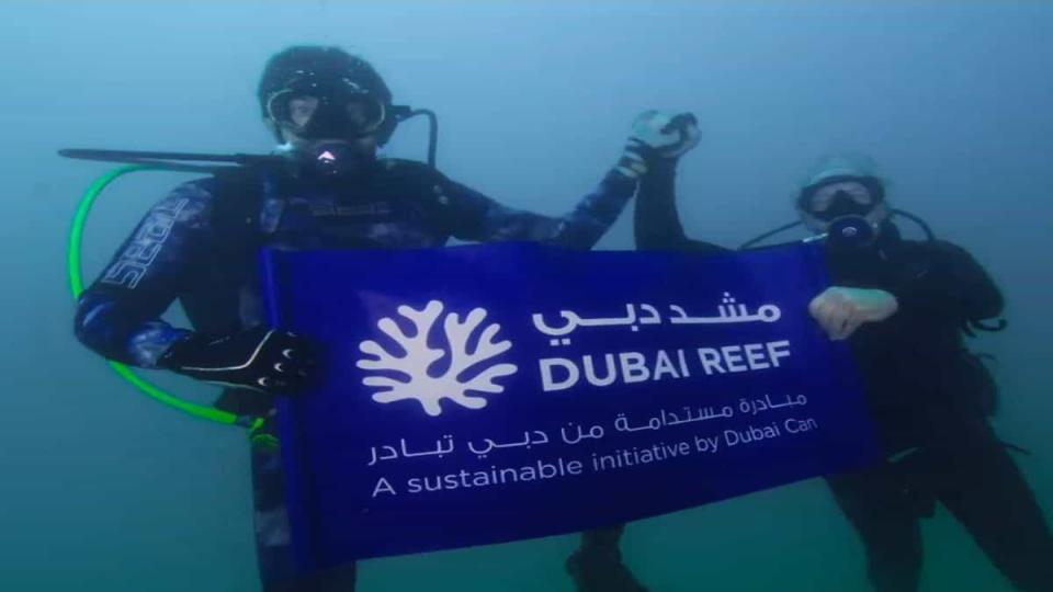 Sheikh Hamdan goes diving to launch Dubai Reef project