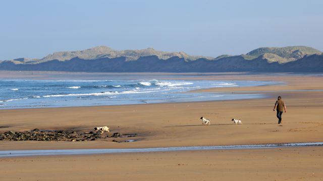 abeachinirelandreappears33yearsaftervanishingintoatlanticocean