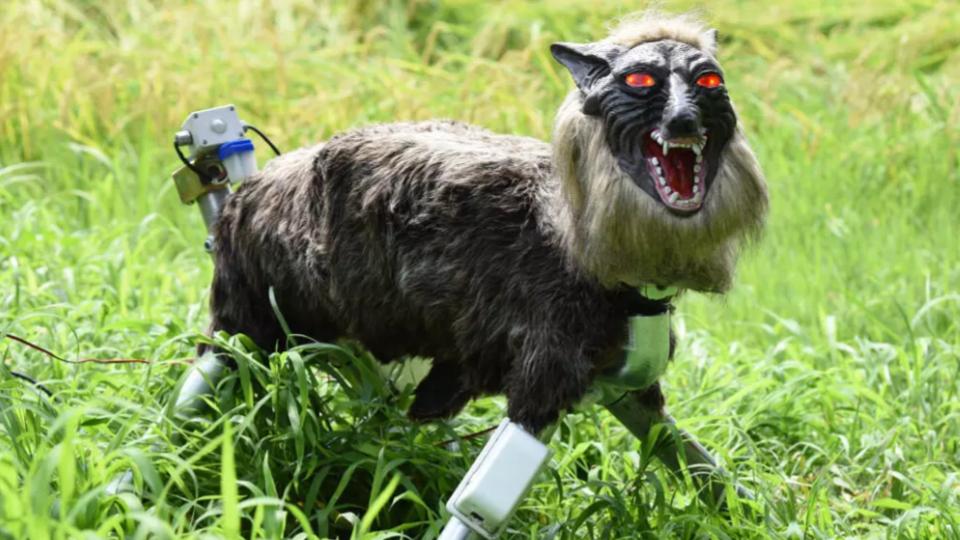 japanrobotwolvesinhighdemandtoscareoffbears