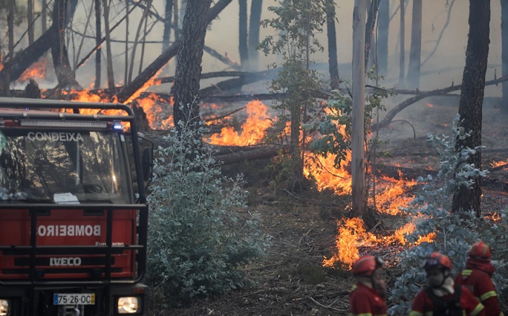 portuguese:firefightersbattlemultiplewildfiresamidheatwave