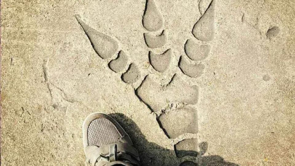 Scientists document largest trove of dinosaur footprints in Bolivia