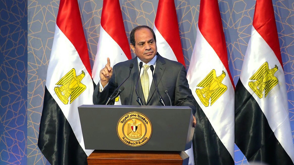 egyptspresidentsisiapprovescontroversialngolaw