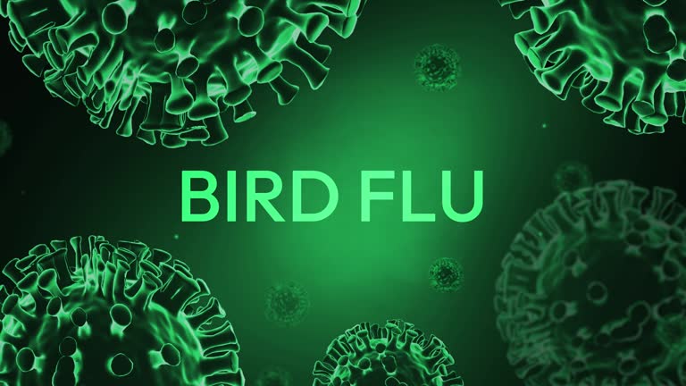 Cambodia records fourth death of H5N1 bird flu in 2025