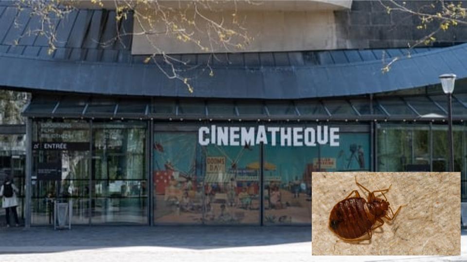 Prestigious Paris Cinema temporarily closed over bedbugs infestation