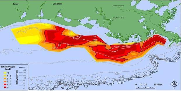 worldslargestdeadzoneingulfofomanisthesizeofflorida