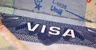 Spouses of H-1B Visa holders in tech sector can work in US, says Judge