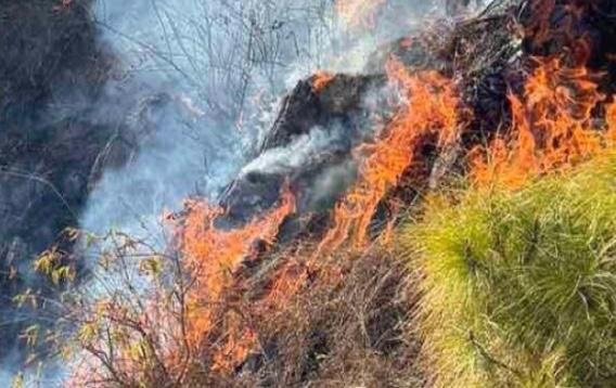 nepal:firedestroysfourcommunityforestsinlumbiniprovince