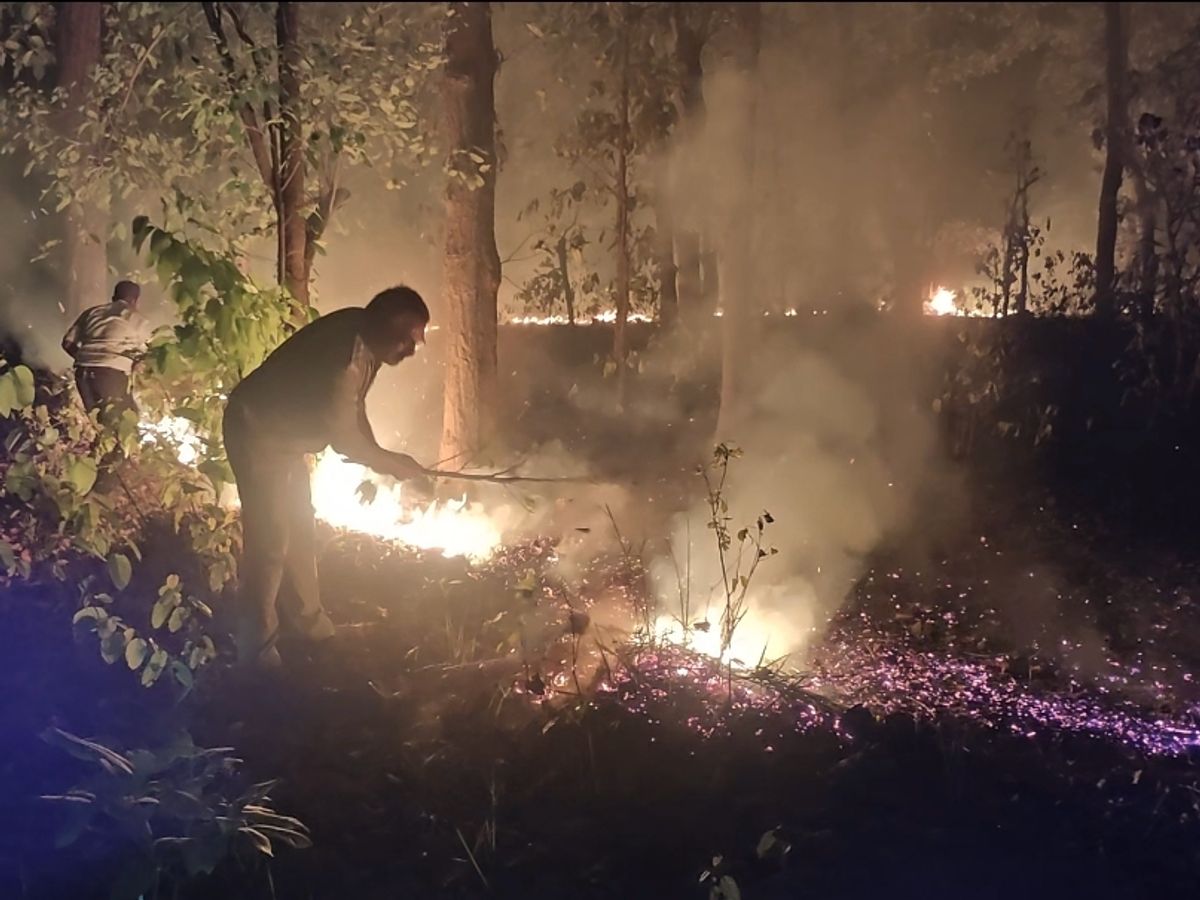 firebreaksoutinbandhavgarhtigerreserve
