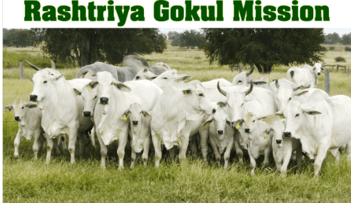 centreapprovesrevisedrashtriyagokulmission