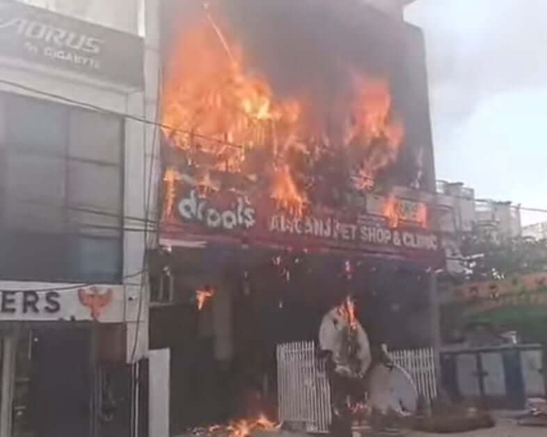 15 killed in Lucknow fire at pet shop, gaming training centre, 4 arrested
