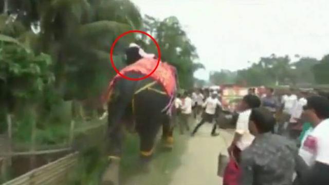 watch:assambjpdeputyspeakerkripanathmallahfallsoffanelephant