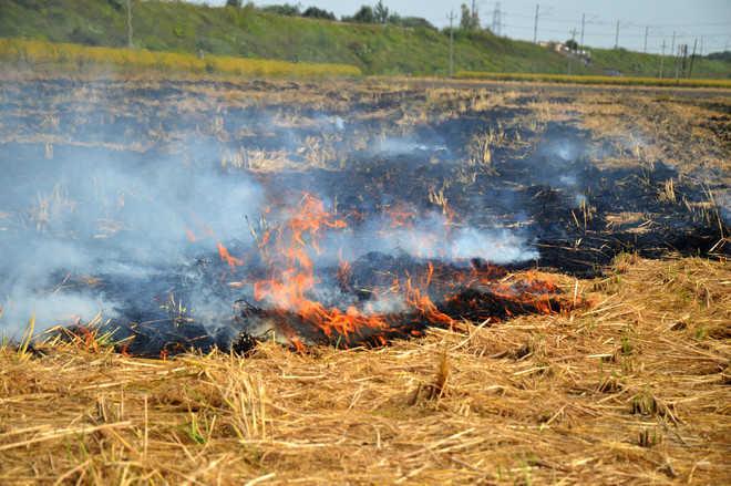 scbansstubbleburningindelhipunjabharyanawesternup