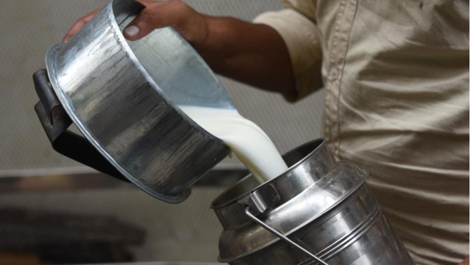 Death Toll Rises to 13 