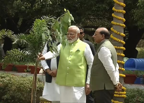 PM launches tree plantation campaign on World Environment Day
