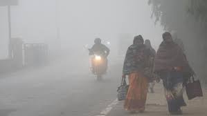 coldwavegripsdelhi