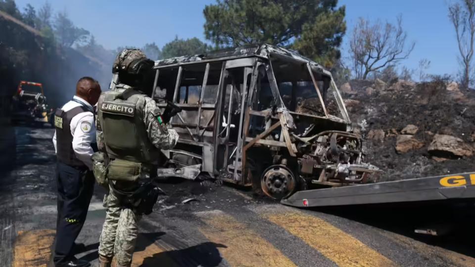 Indian Embassy Issues Advisory to Its Citizens in Mexico 