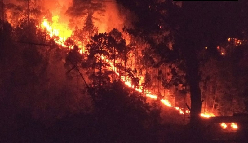 Forest fire trigger landmine blasts along LoC in Poonch