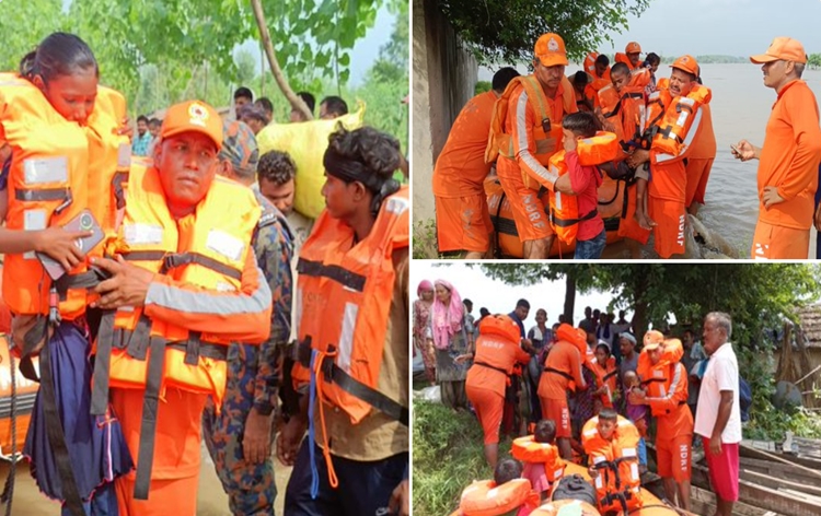 14teamsofndrfareconductingsearchrescueoperationsinhimachalpradeshpunjab