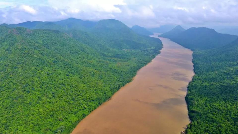 750 Hectares Of Forest Land Likely To Be Diverted For Coal Mining In Odisha