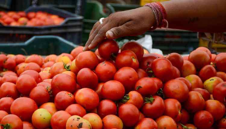 tomatoturnsredhotagainpricescrossrs100akgacrosstelangana