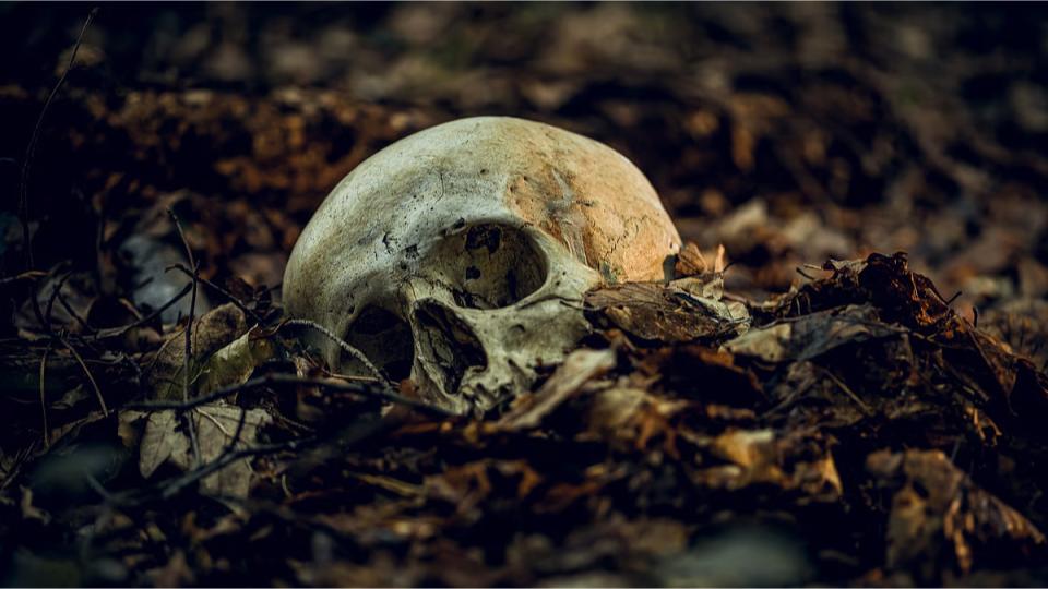 Skull, bones found at house in Thane, Maharashtra