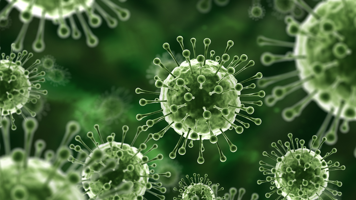 Second suspected Nipah death reported in Kerala