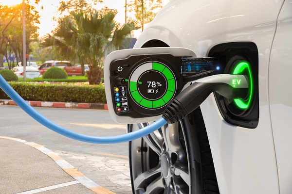 govtwillnotstopregistrationofcombustionvehiclesbutwedoencourageevs:gadkari