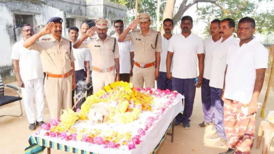 policedog‘veena’crematedwithpolicehonoursinvizianagaram