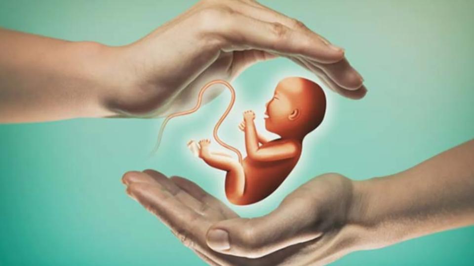 india?sfertilityrateremainssteadyat20childstuntingdeclines