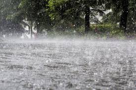 imdforecastsheavyraininsouth