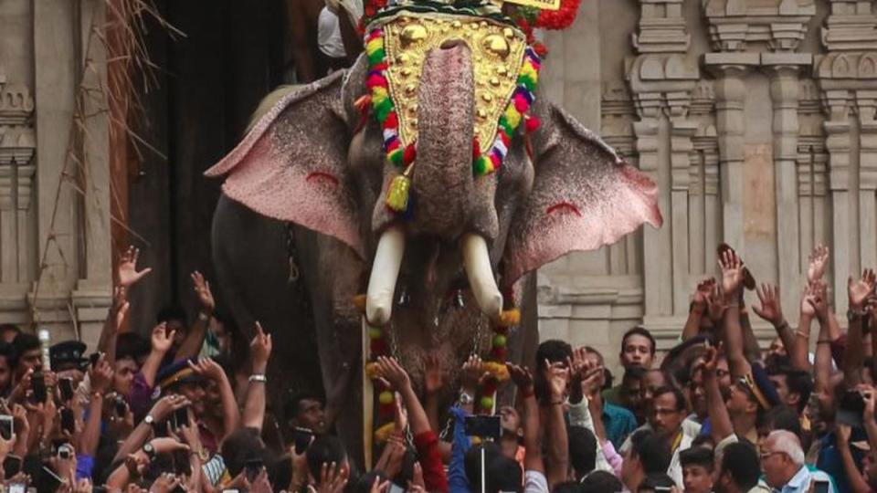 keralatempleends120yeartraditionofelephantparade