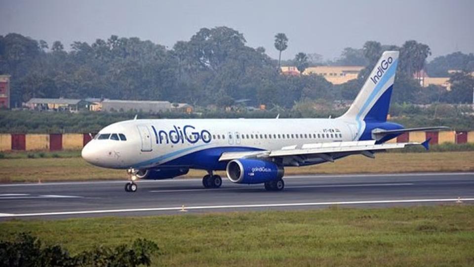 IndiGo Airlines cancels over 250 flights from Delhi and Bengaluru