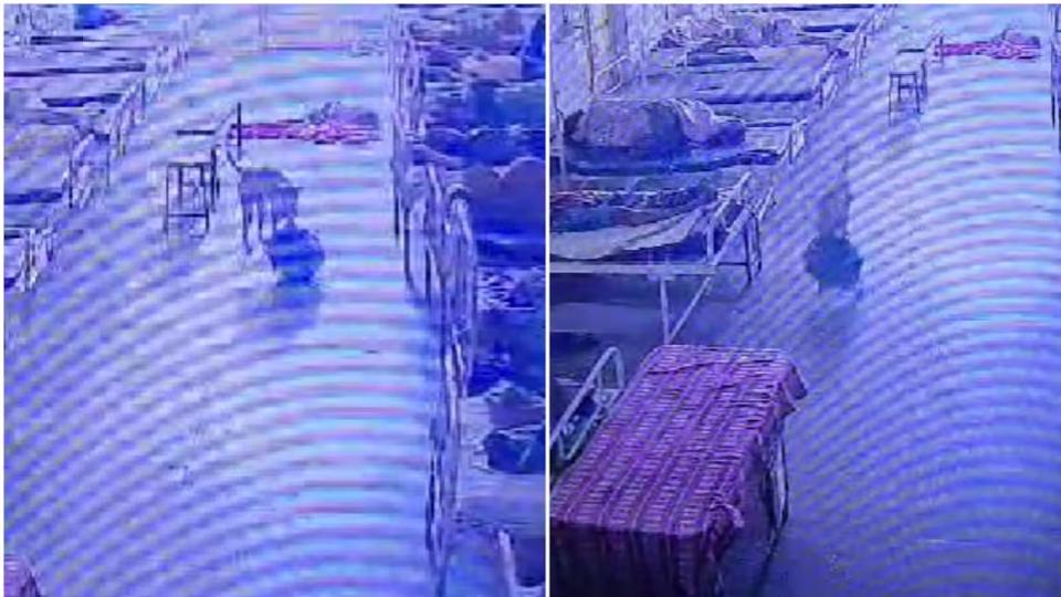 Stray Dog Steals Rs 4 Lakh Jewellery Bag From Hospital In MP
