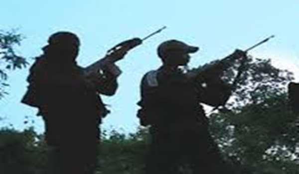 ninemaoistssurrenderinsukmadistrictchhattisgarh