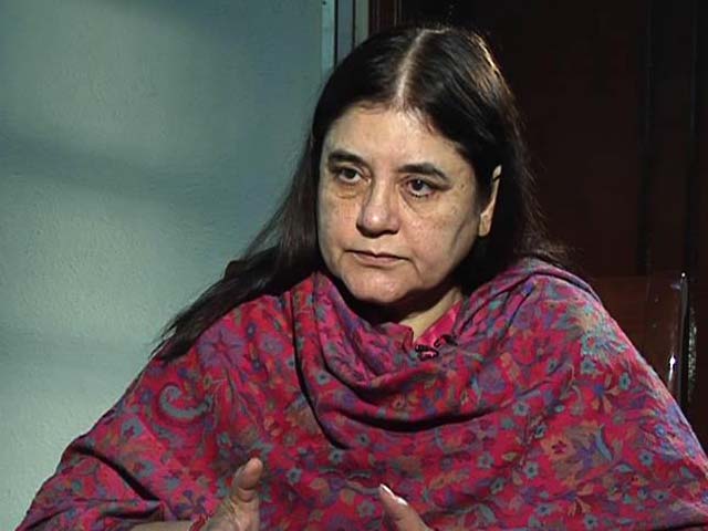 ministrylookingintosherinmathewssadoptionprocess:manekagandhi