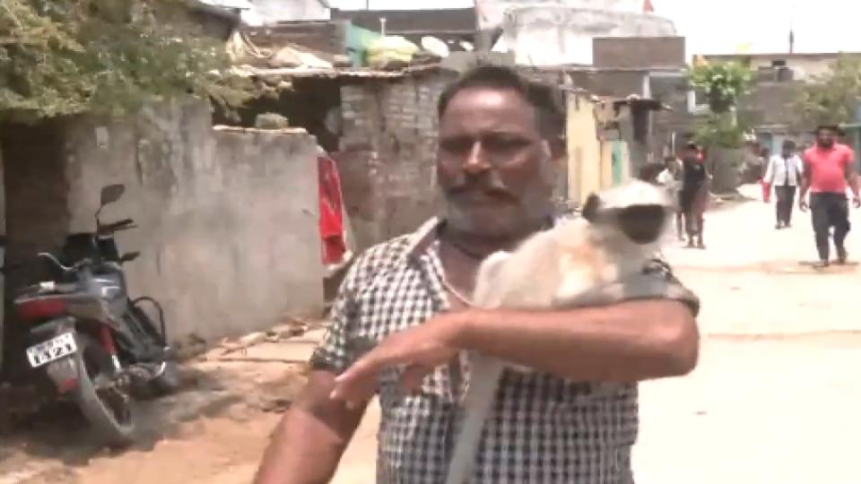 video-of-a-man-arrives-at-polling-booth-with-his-monkey-in-maharashtra