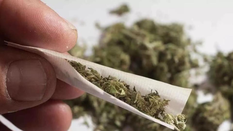 College Authorities Catch Three Students With Ganja in Mangaluru