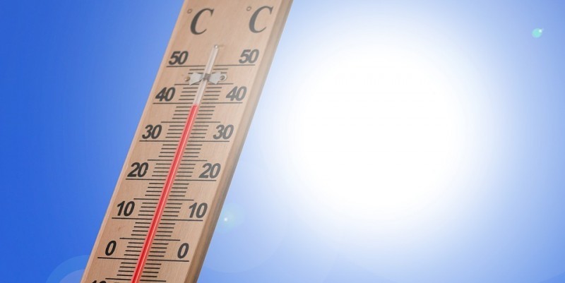IMD forecasts heatwave in Gangetic West Bengal, Jharkhand