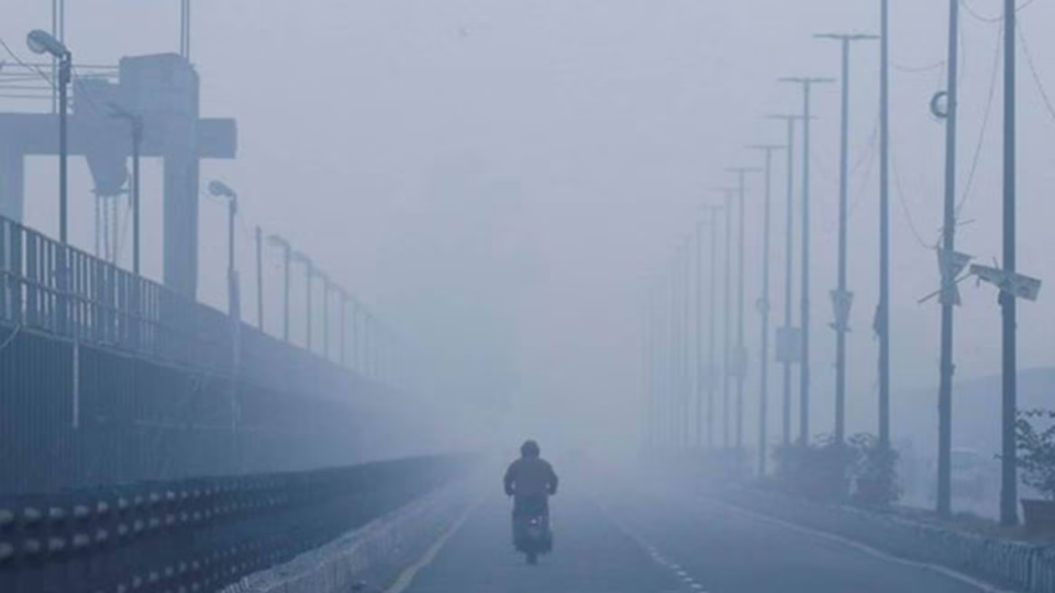 IMD Forecasts Cold Wave In Chhattisgarh, Madhya Pradesh, Odisha