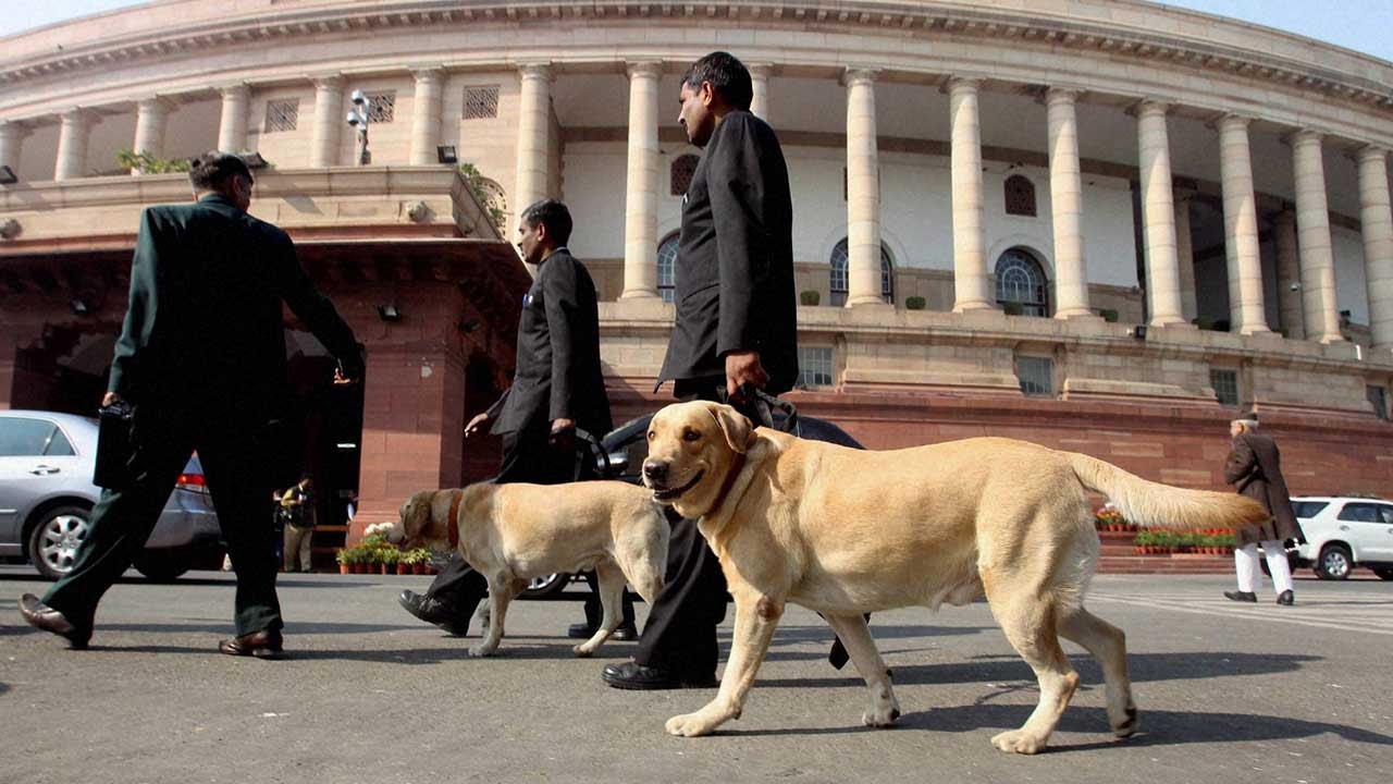 inafirstdesidogstoservethenationaspartoftheindianarmy