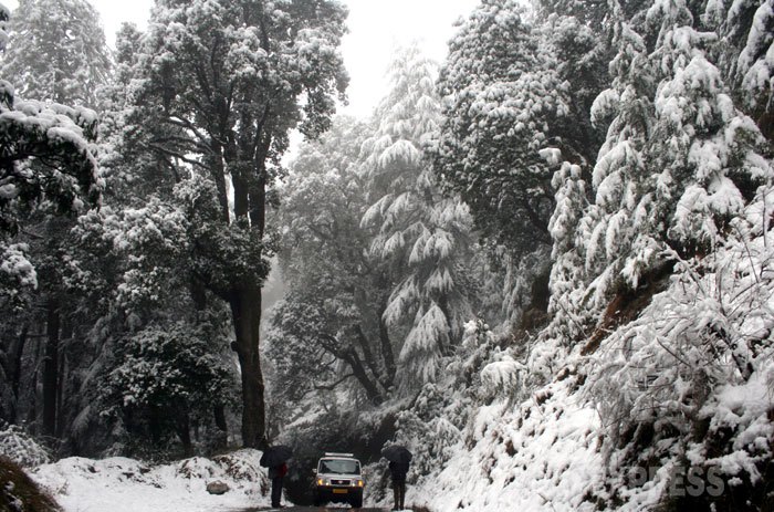 himachalpradeshcontinuetoexperienceheavysnowfall