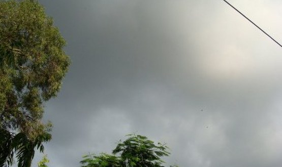 monsoontohitkeralaonmay29