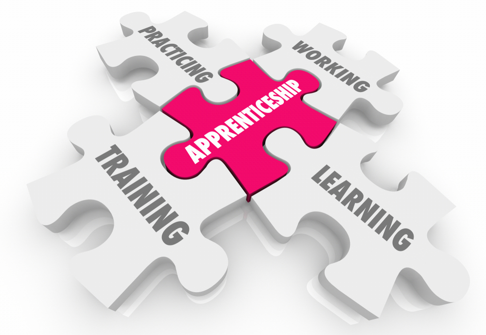 govtapprovescontinuationofnationalapprenticeshiptrainingschemefornext5years