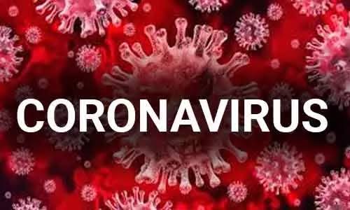 secondconfirmedcaseofnovelcoronavirusreportedfromkerala