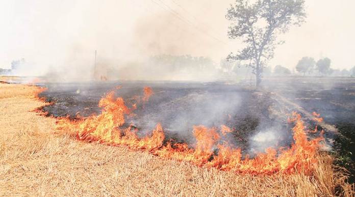 fivestatestogearuptotackleagriculturalstubbleburningproblems