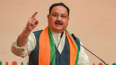 bjptogetnewnationalpresidentonlyafterdelhiassemblypolls:sources