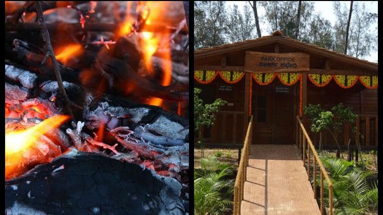 mangaloretreeparksetonfirenocctvtotracearsonists